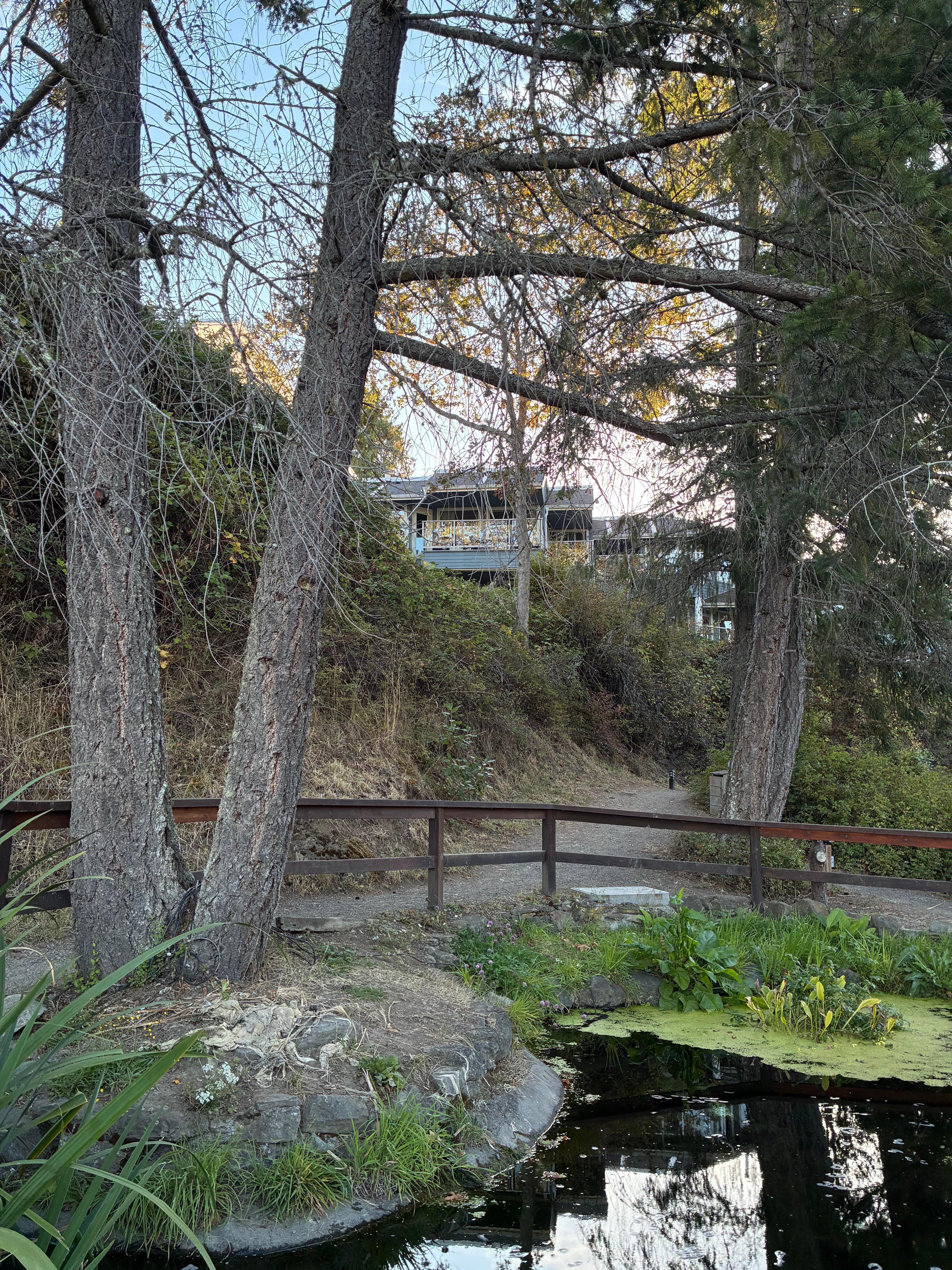 Looking towards the unit from the path below