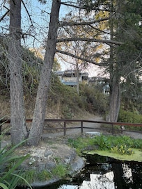 Looking towards the unit from the path below