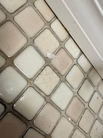 Hair in bathroom when we arrived