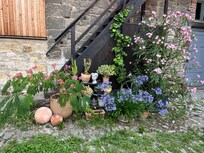 Der Treppenaufgang unserer Ferienwohnung