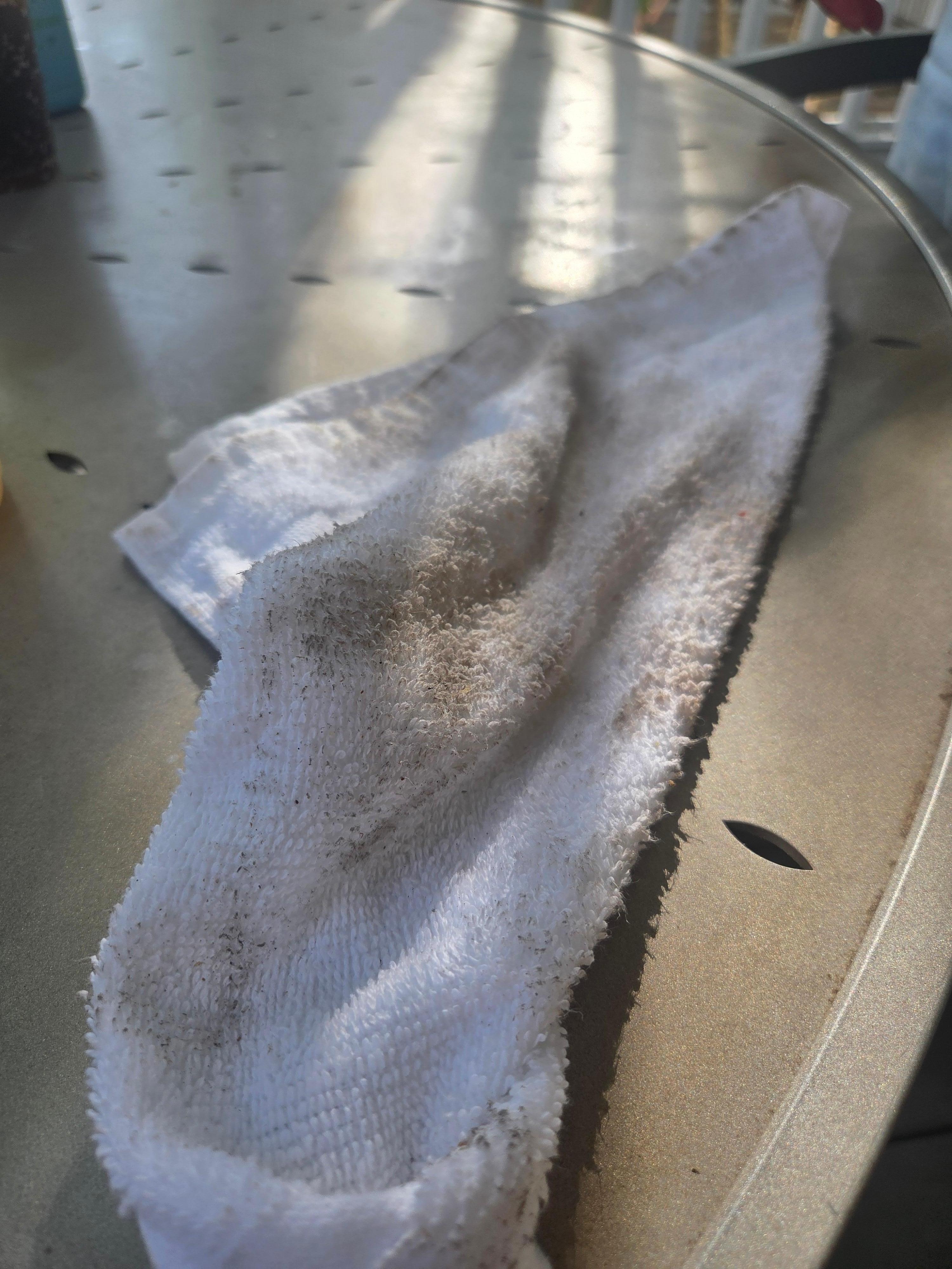 1 swipe on the table so we could try to enjoy "breakfast"