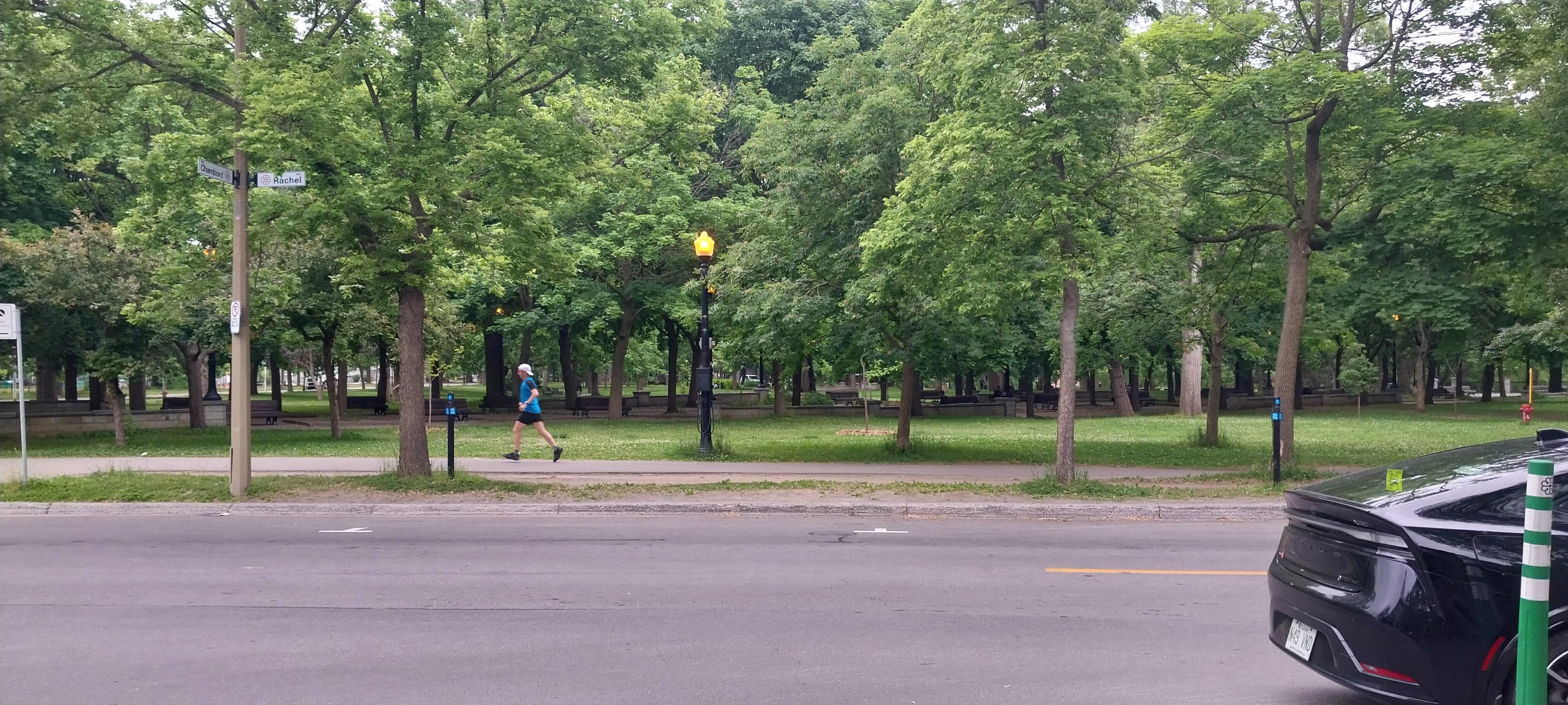 Parc Lafontaine