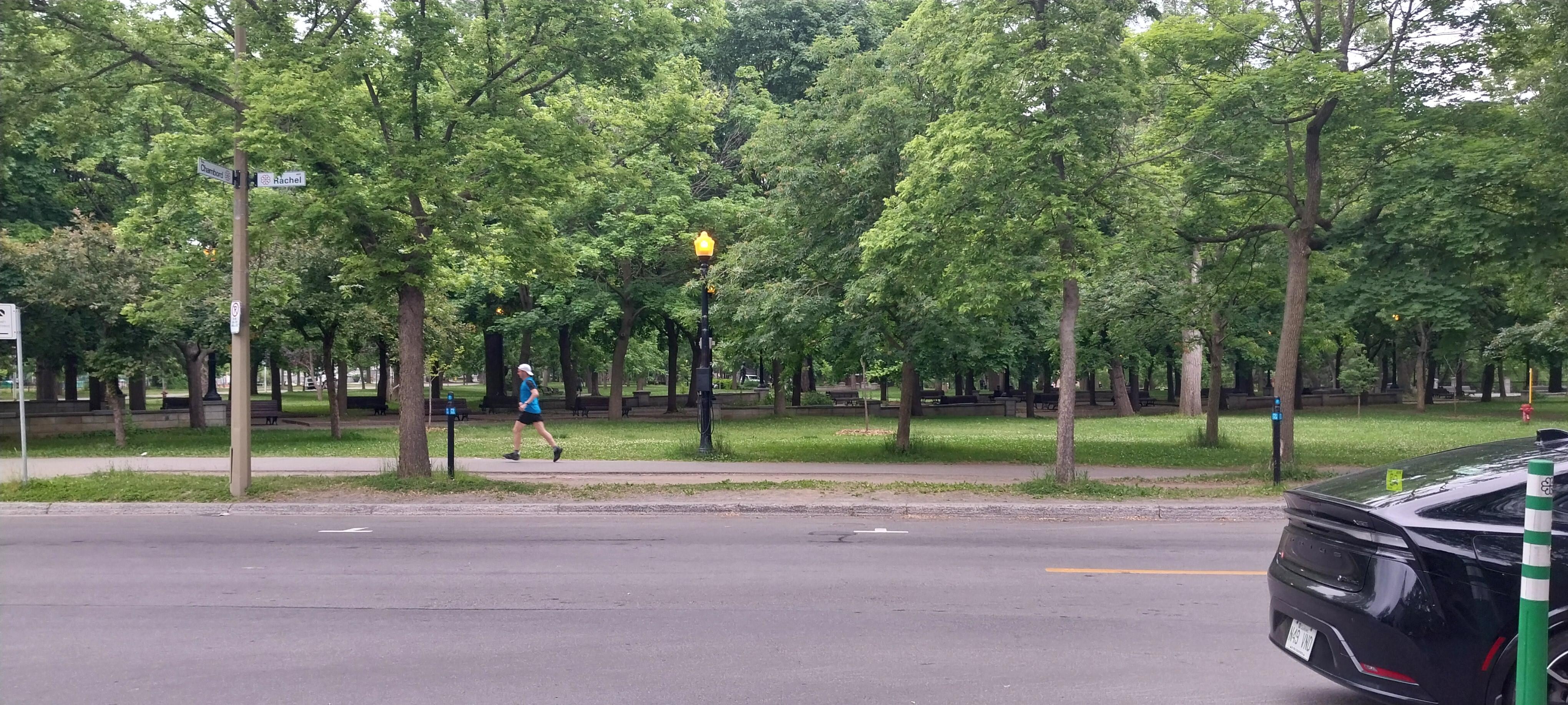 Parc Lafontaine