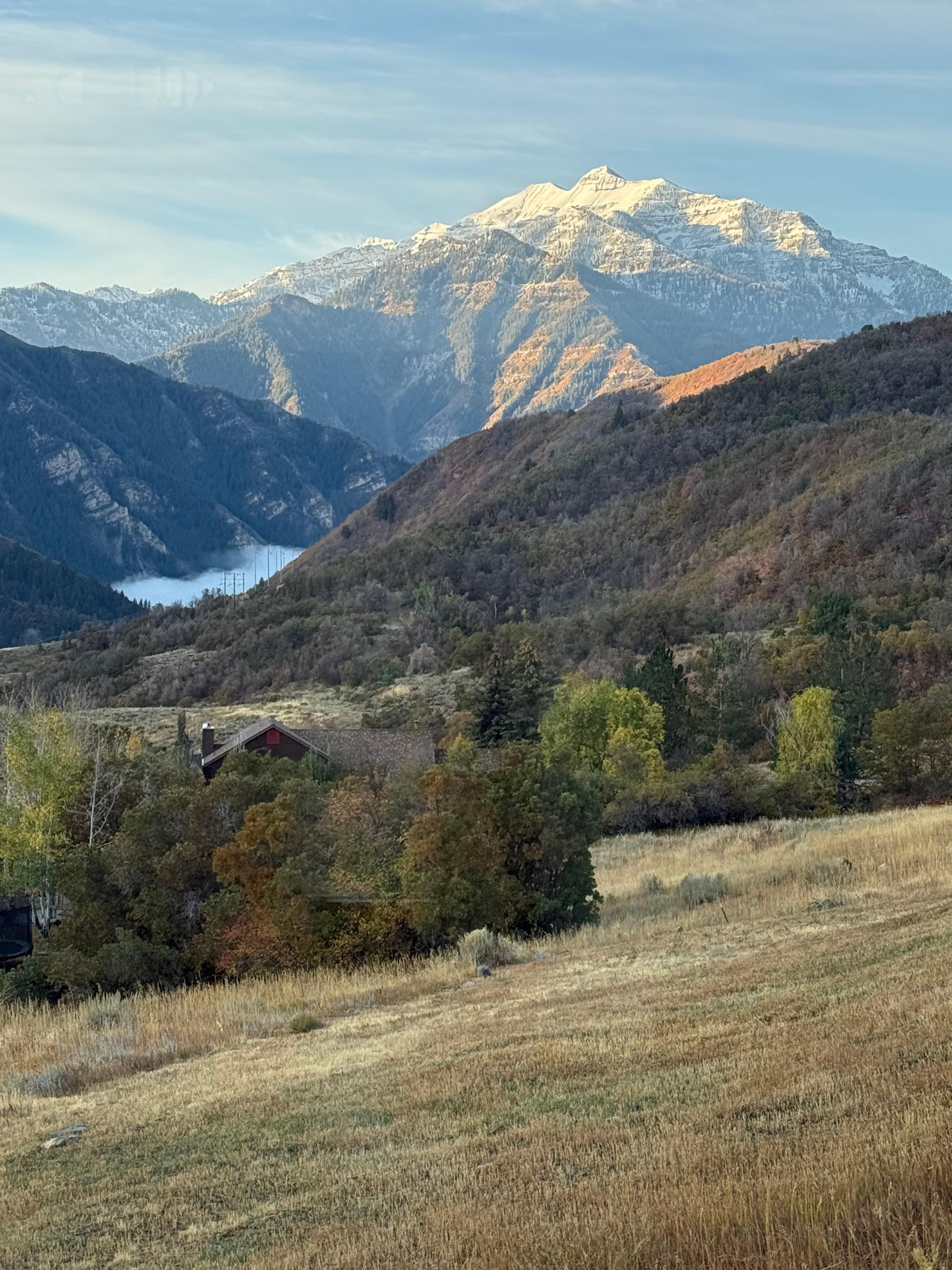 Sunrise view from the family room.