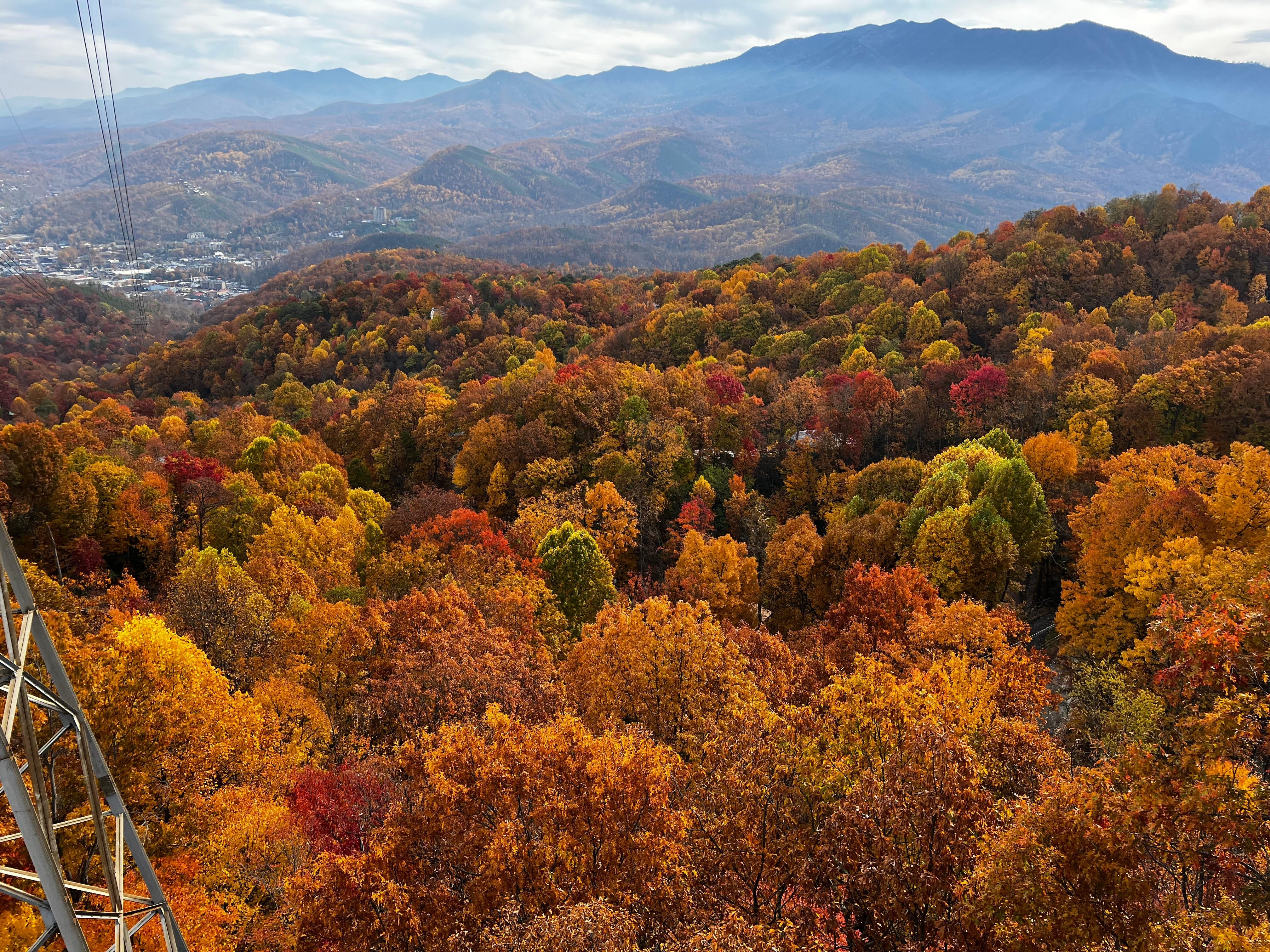 Fall foliage view of the smoky mountains from the tram 