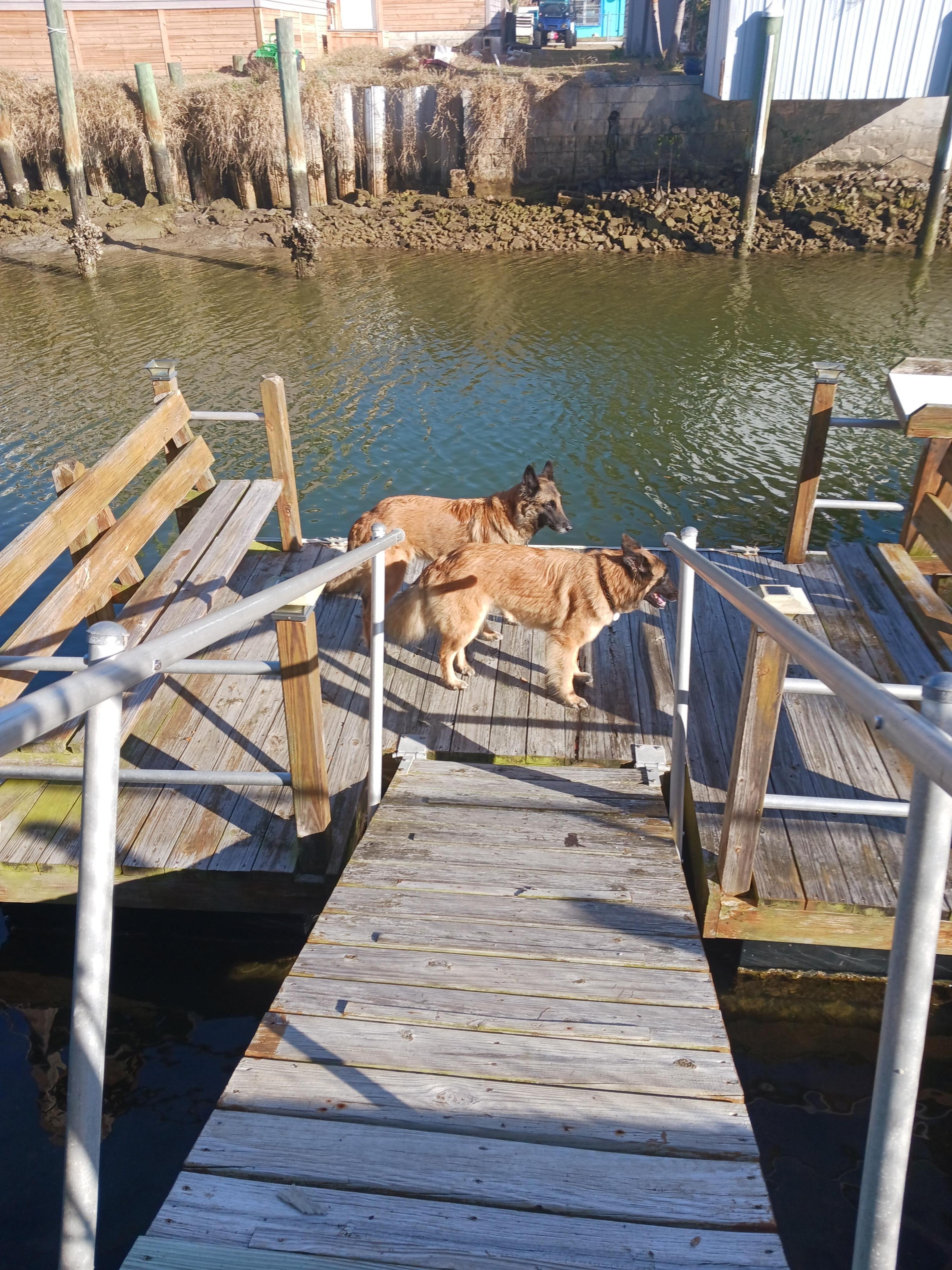 The dock came in handy.