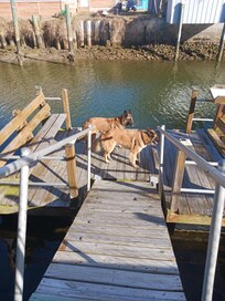 The dock came in handy.