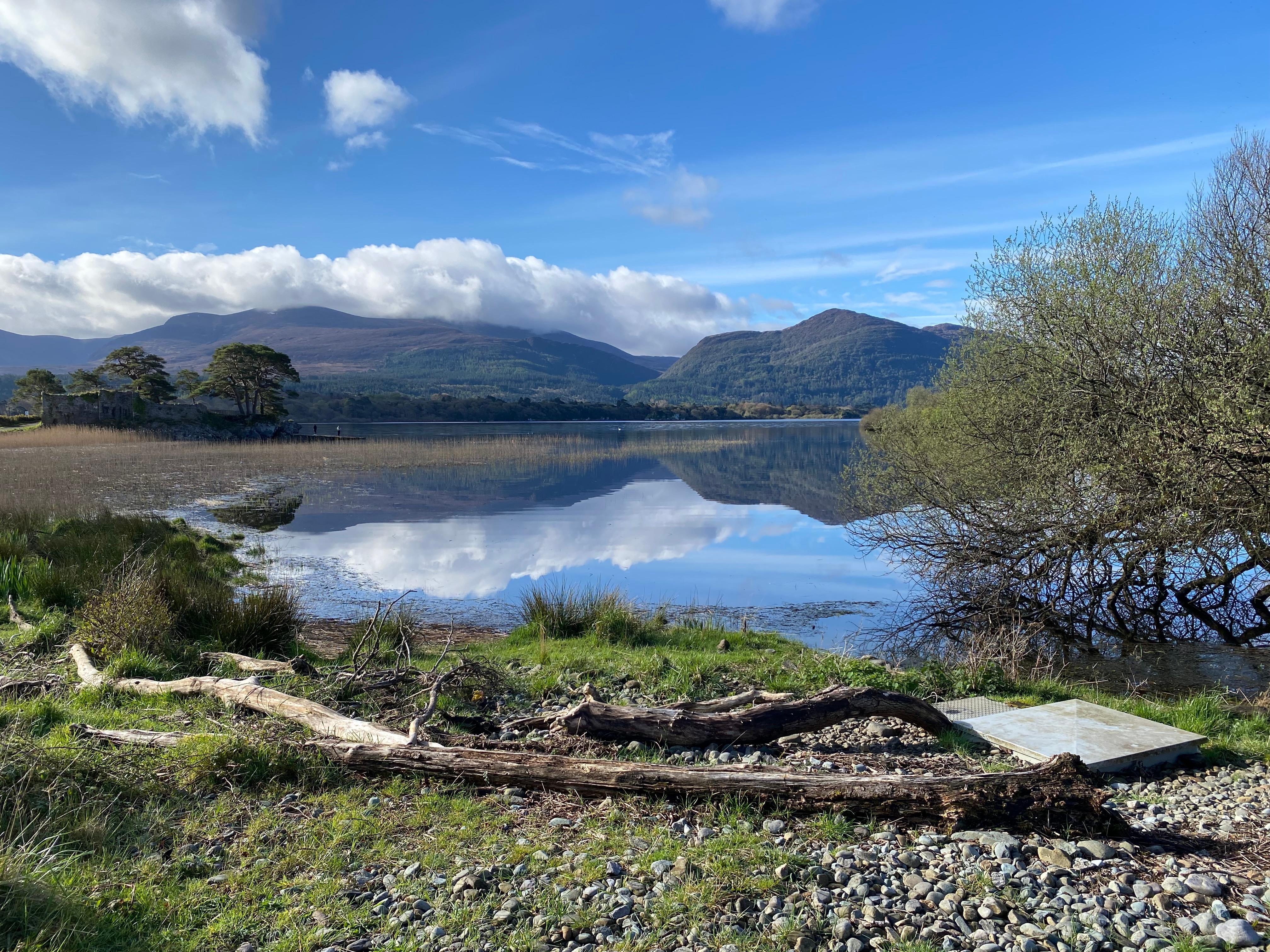 Killarney National Park from hotel. 