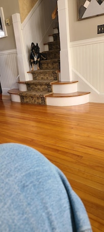 Elliott on watch duty