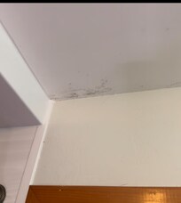 More mold