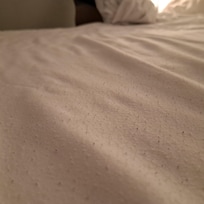 Pilling of the sheets, so bad I could actually photograph it