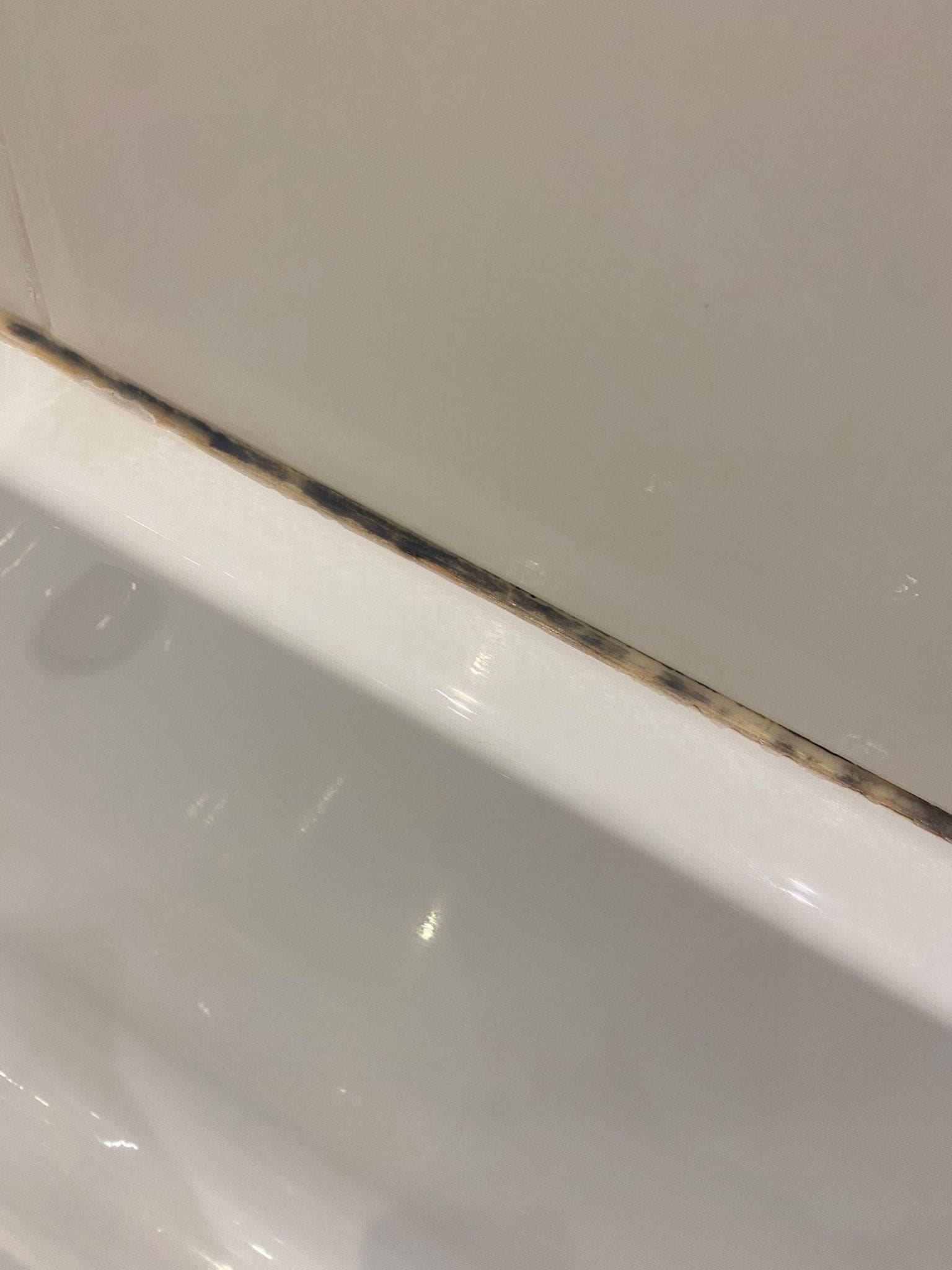 Moisissures dans la salle de bain