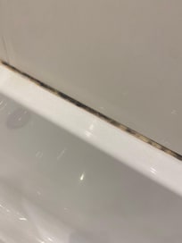 Moisissures dans la salle de bain