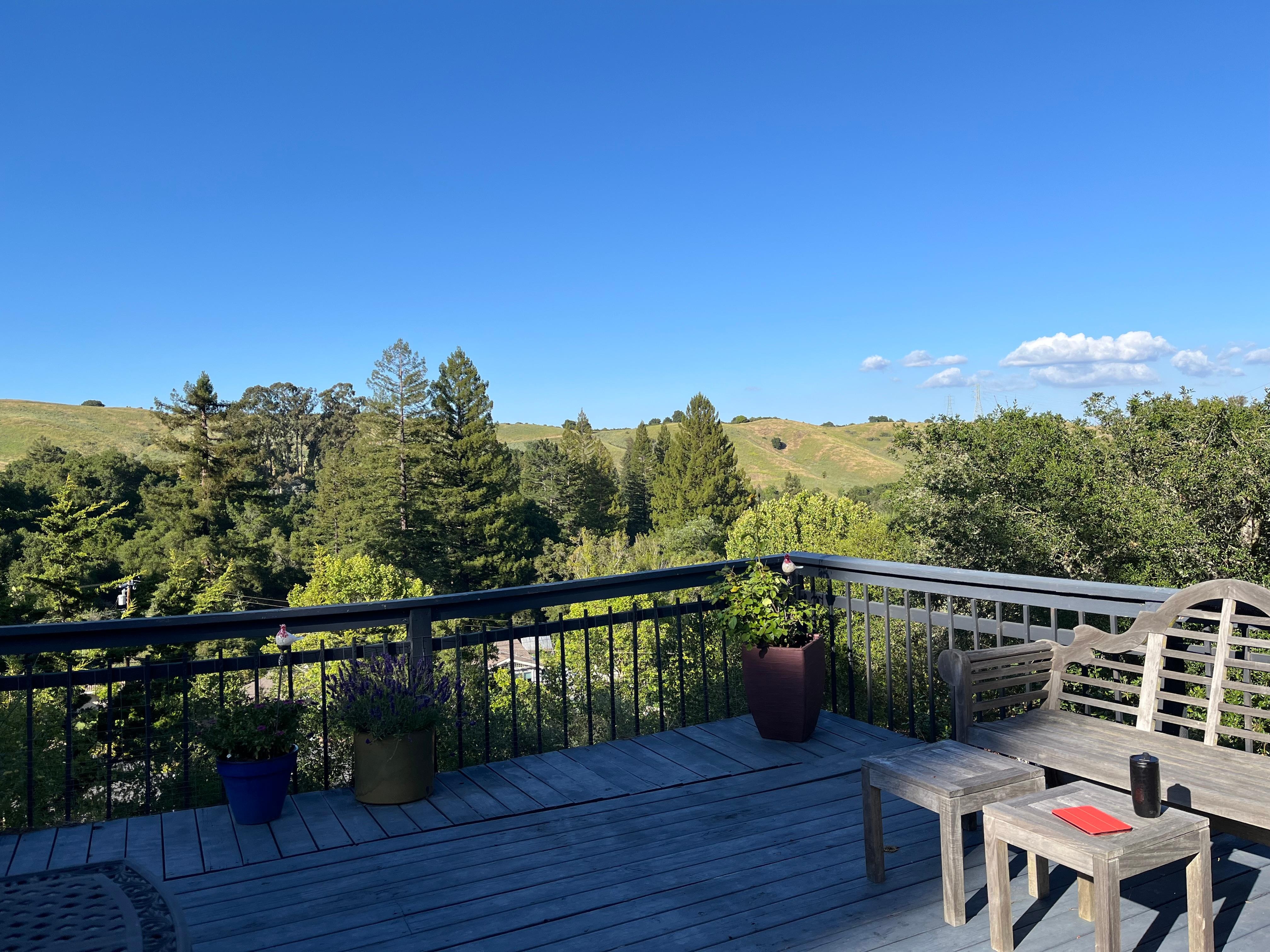 View from back deck