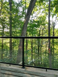 View from the deck