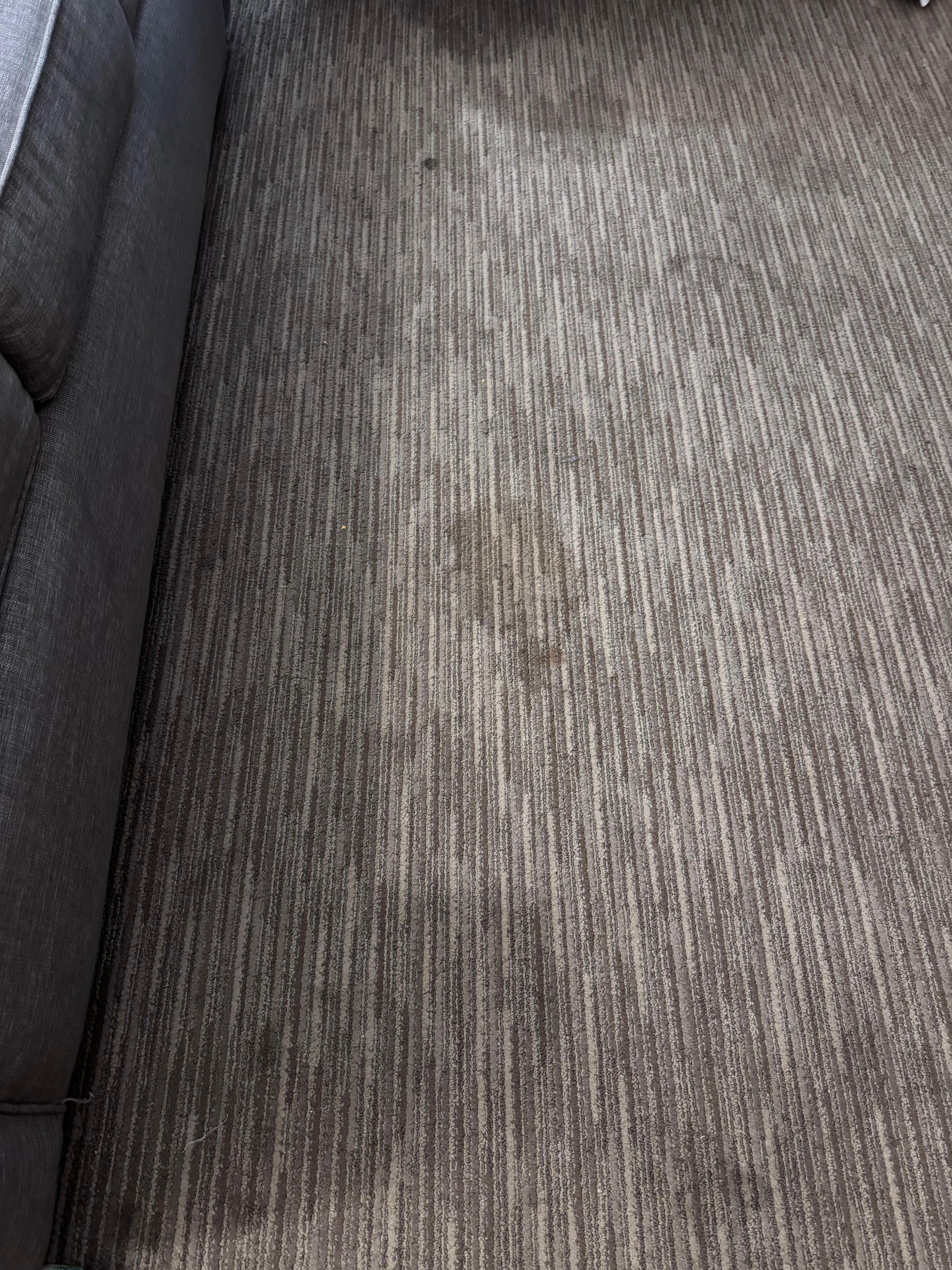 Carpet in front of sofa. 