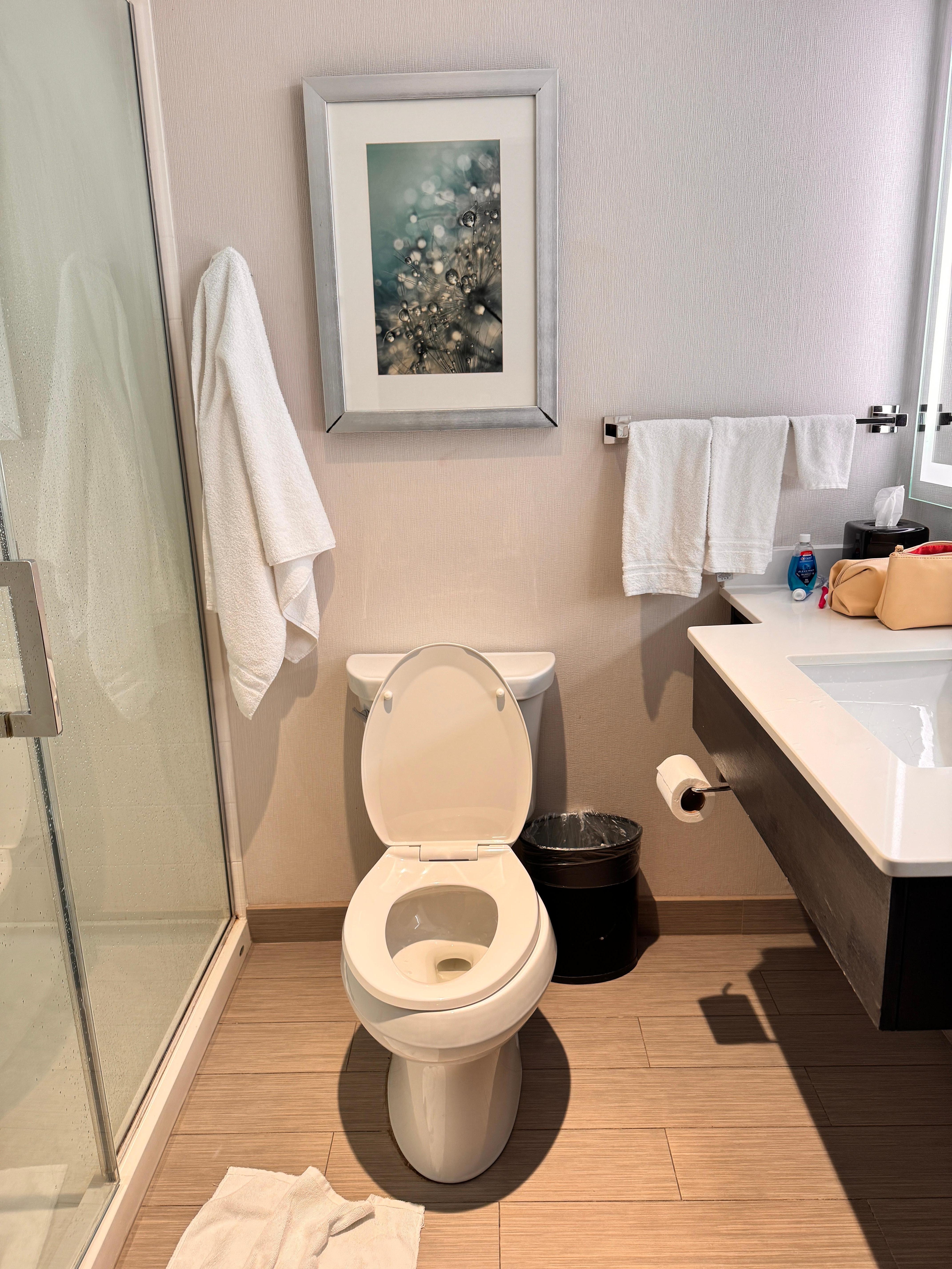 Uneven and lopsided toilet seat