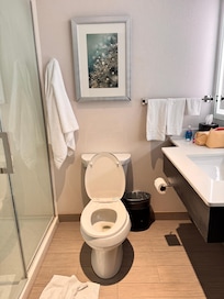 Uneven and lopsided toilet seat