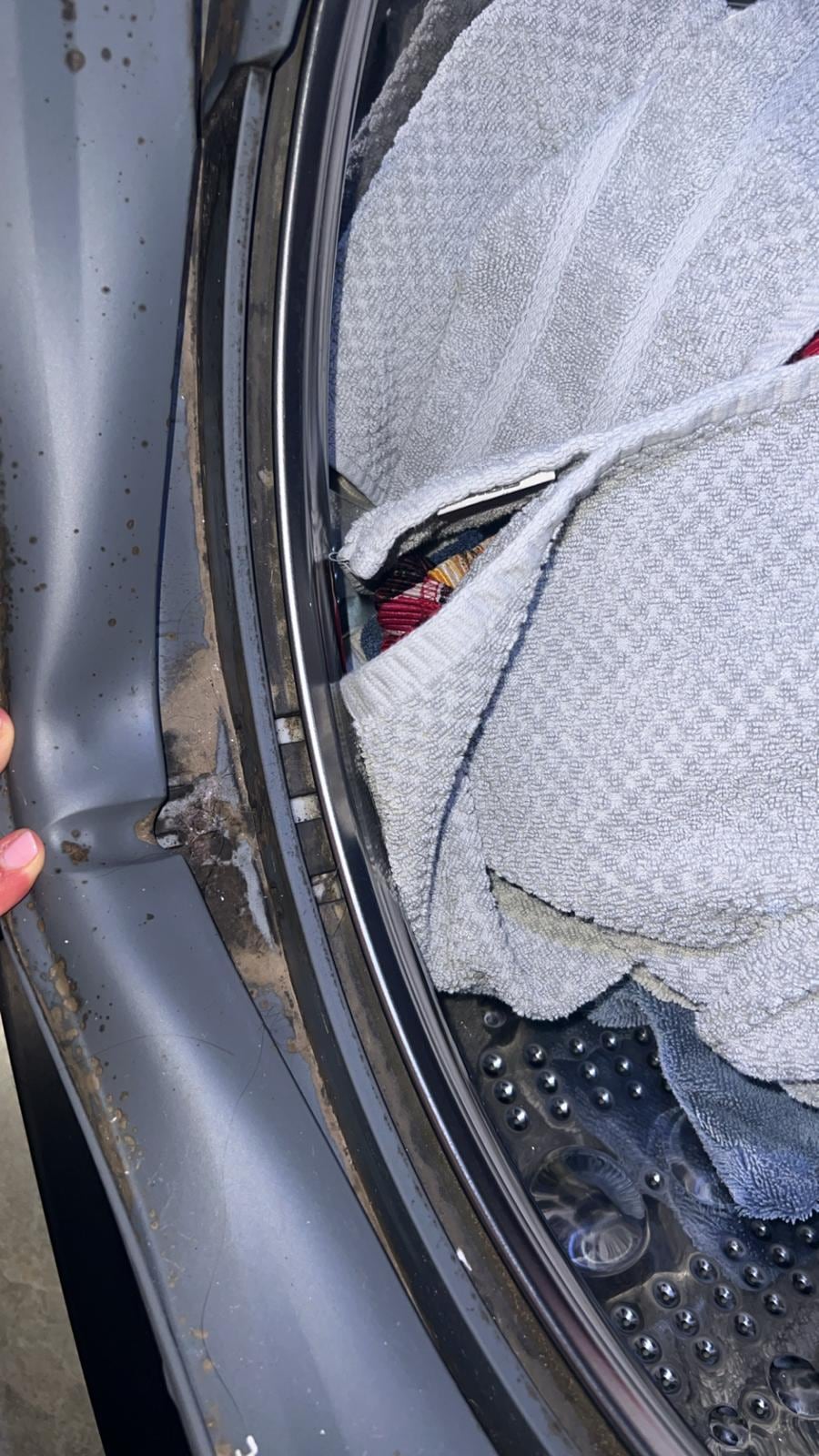 Mold in Washer / Dryer 