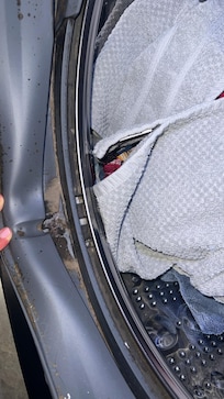 Mold in Washer / Dryer