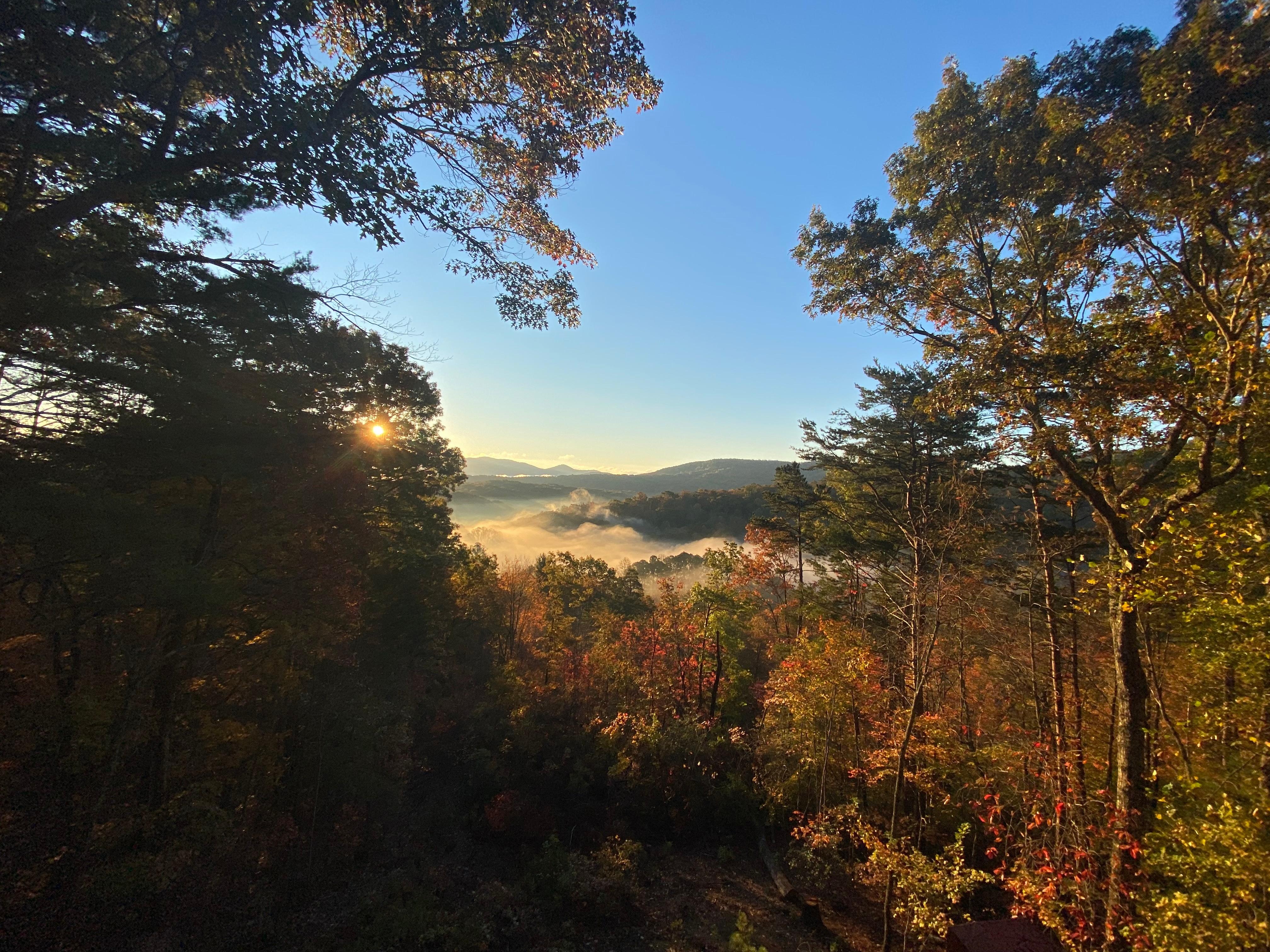 Morning view from the back deck.