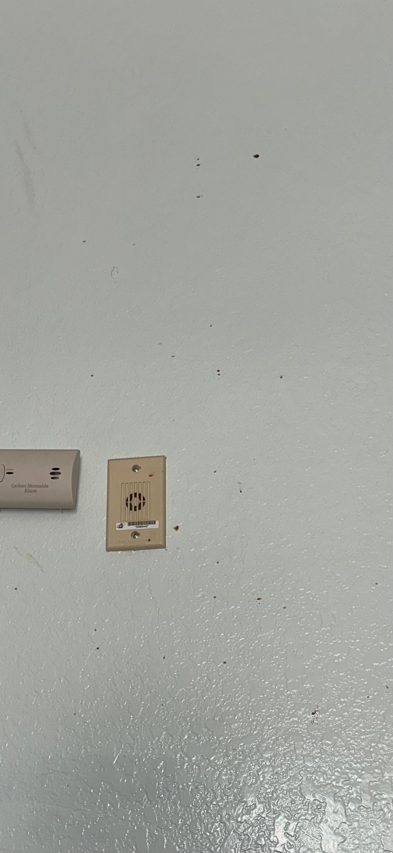 Poop on the walls? Zoom in. 