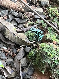 Around for most of our stay