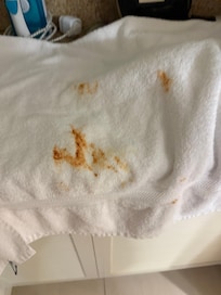 This was supposed to be a clean towel, which was folded in the shower