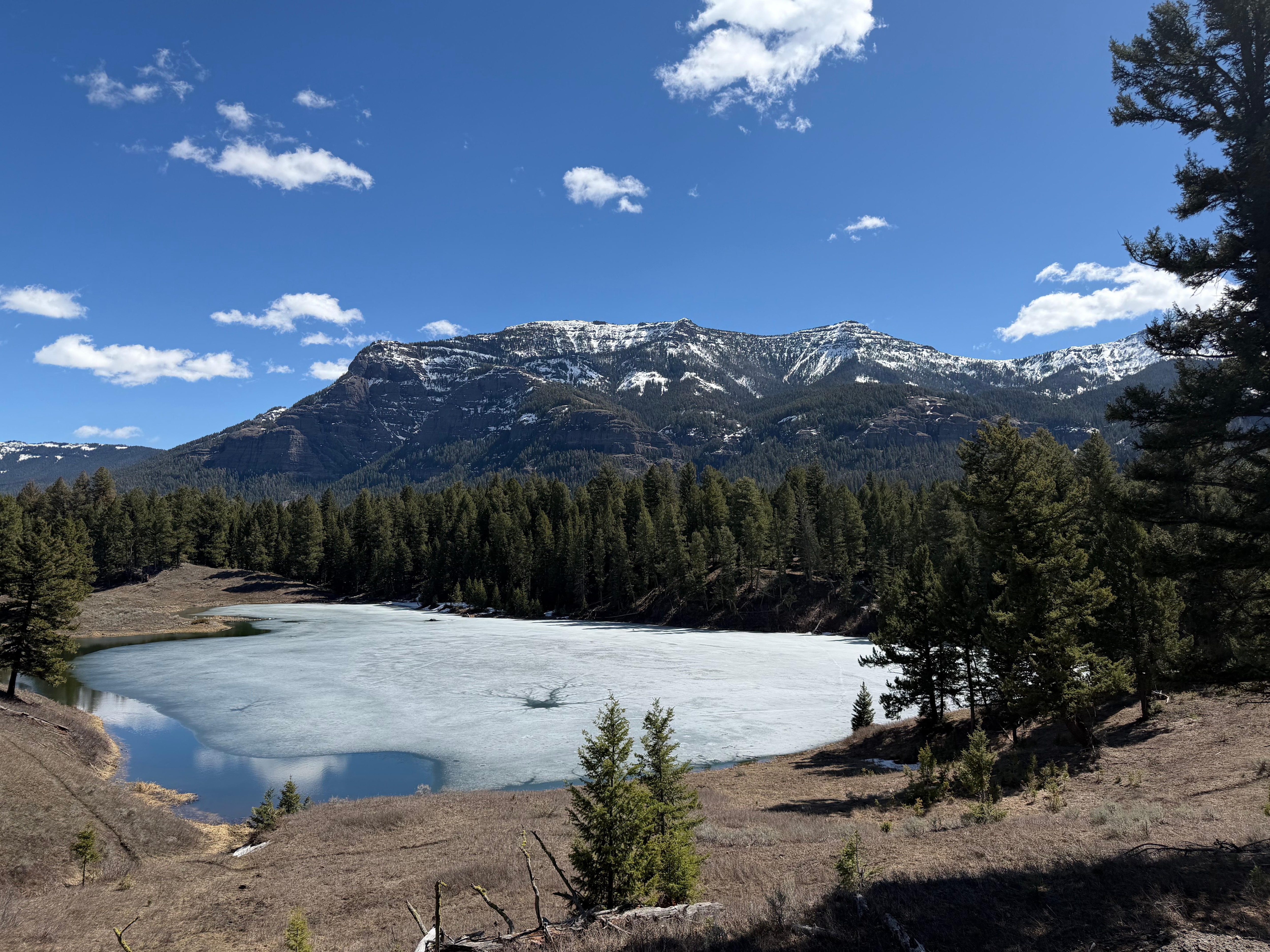Bull Lake (off of Trout Lake Trail)