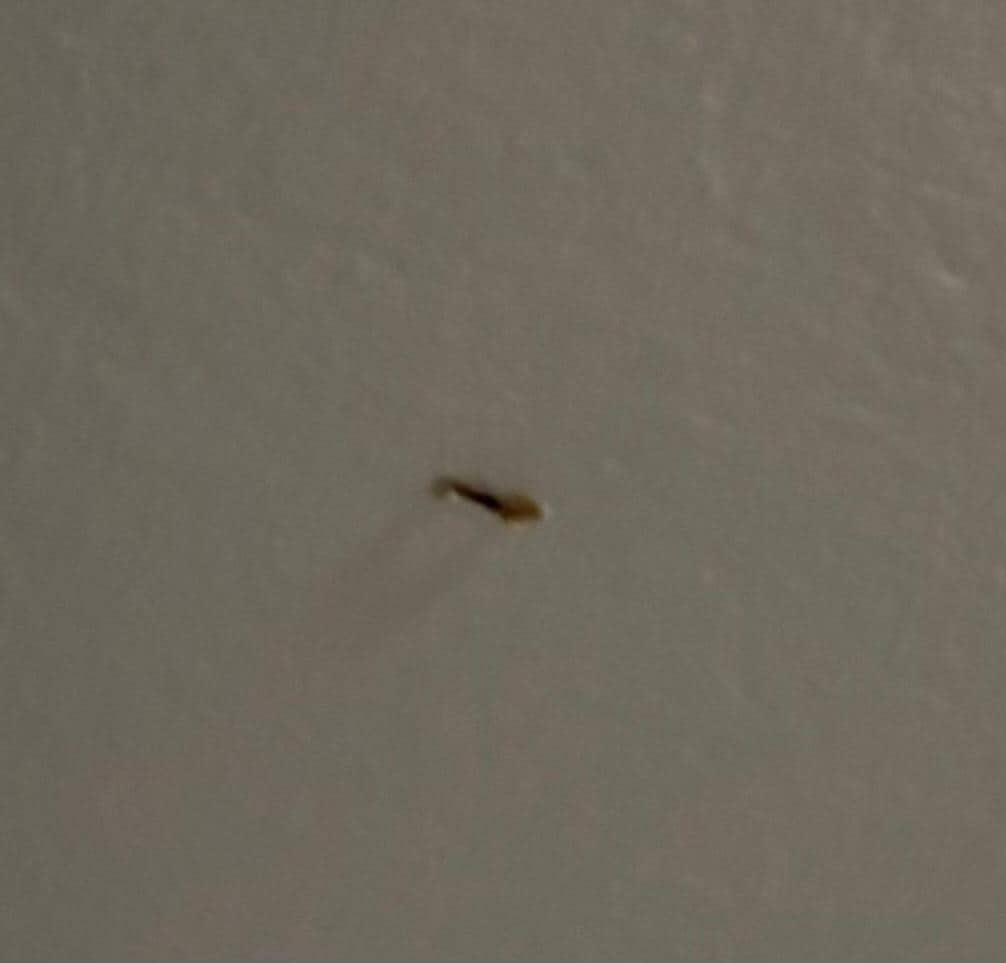 Booger on the ceiling.
