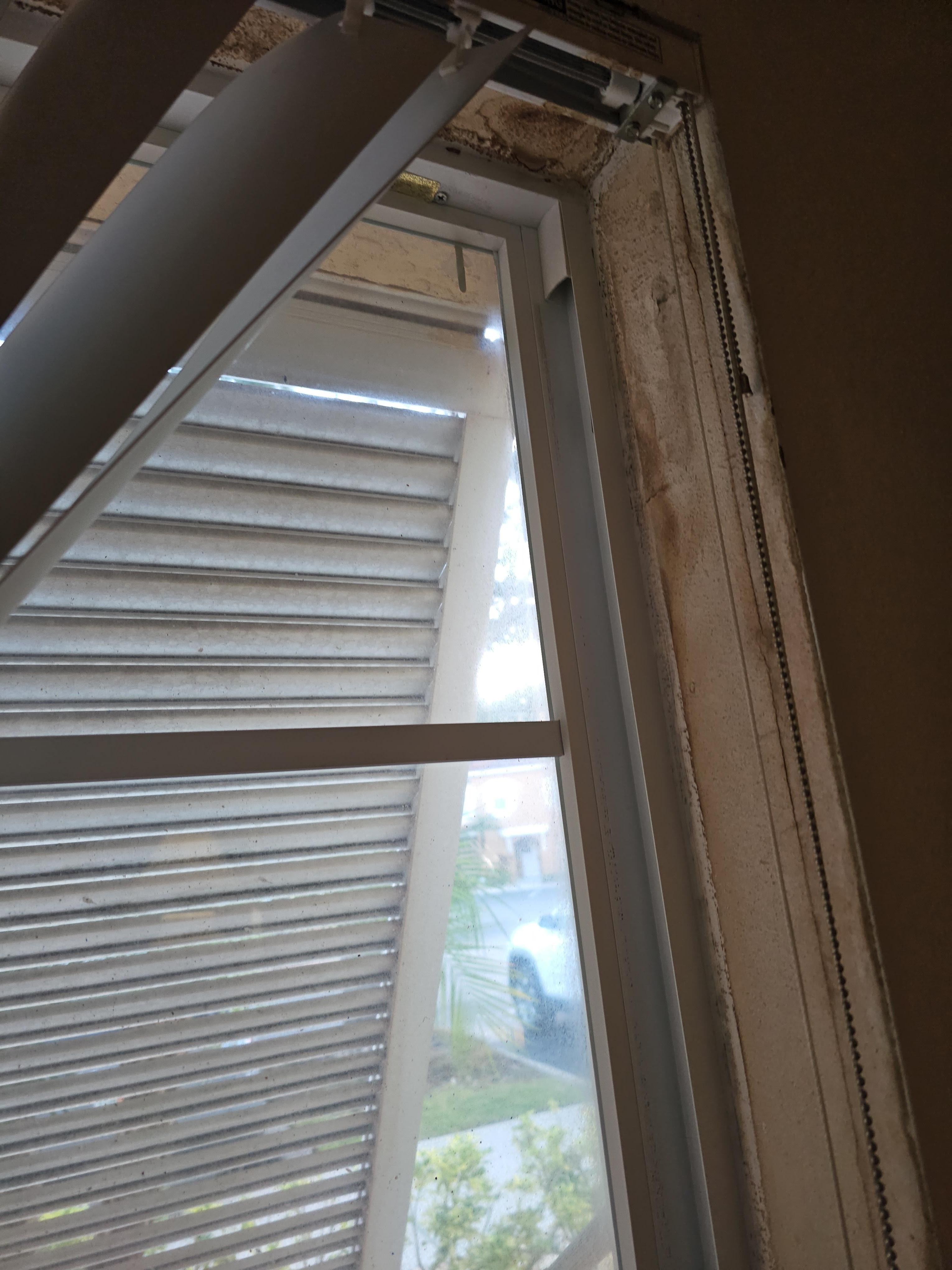 Mold and dirt all over the kitchen