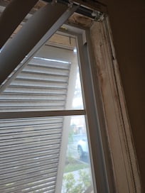 Mold and dirt all over the kitchen