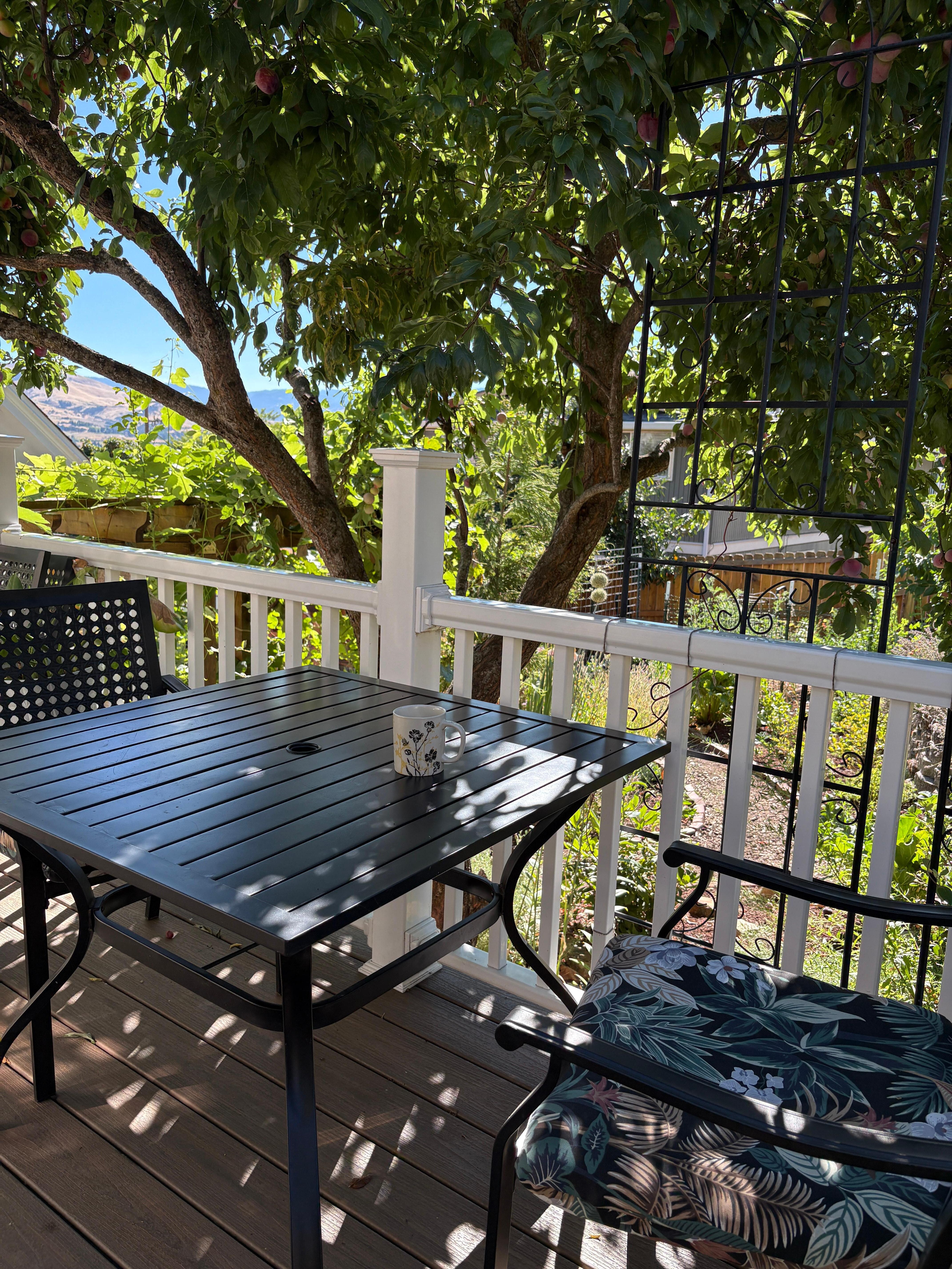 A lovely dining area