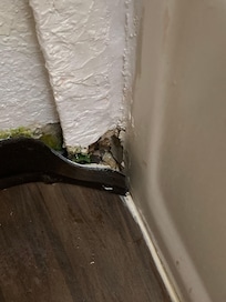 Trim in bathroom