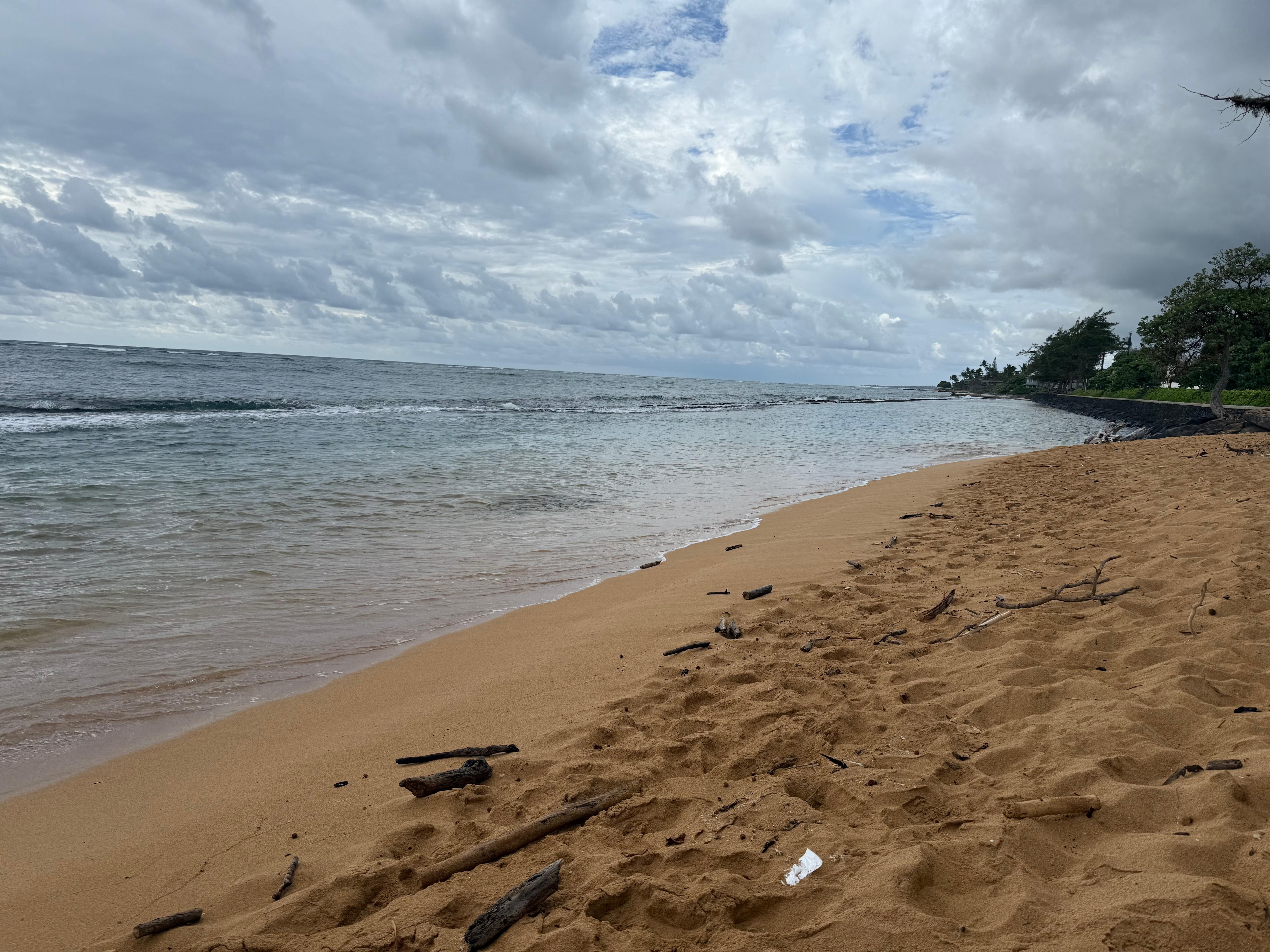 Baby beach about 5 min from condo. 