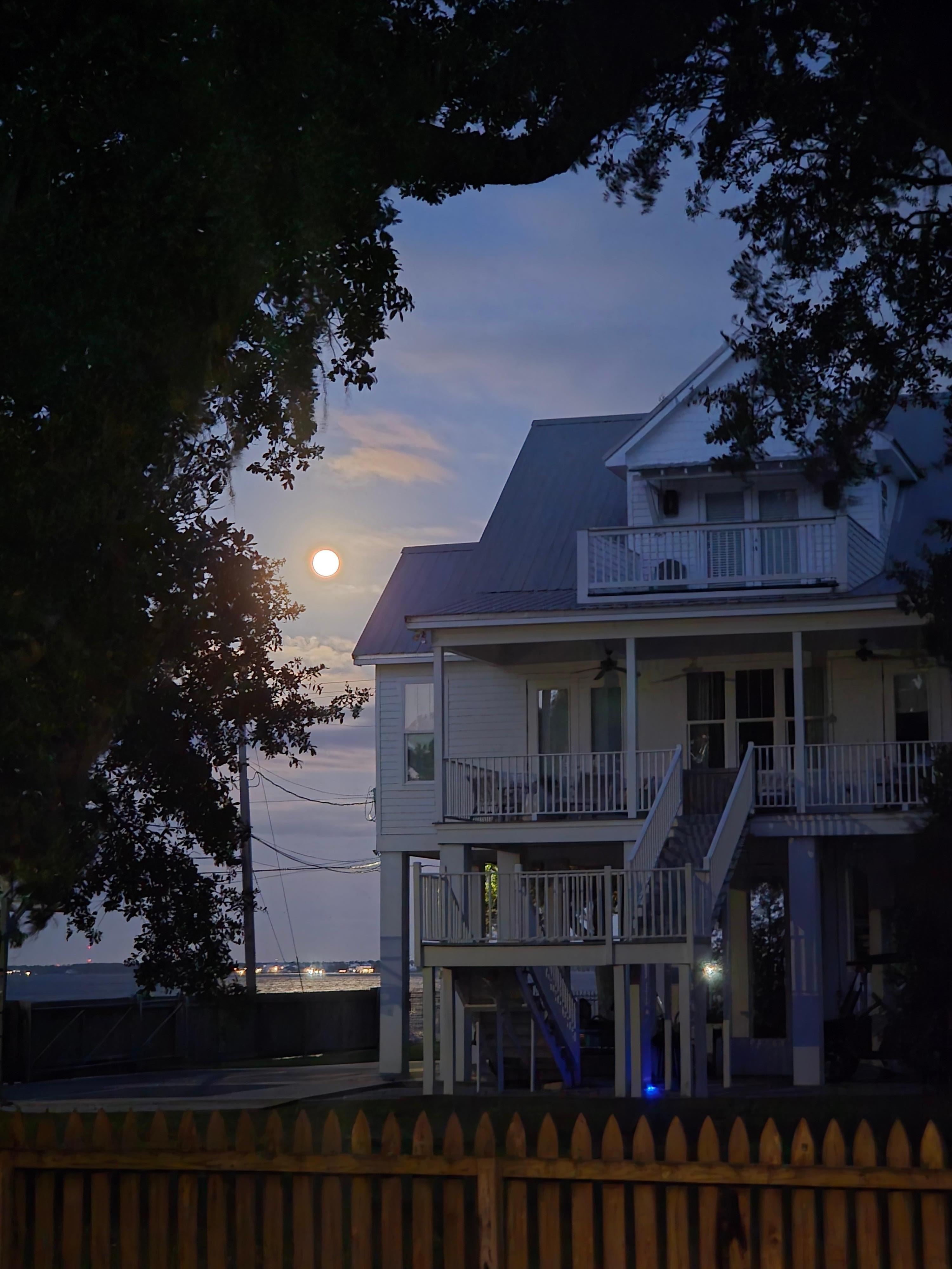 Full moon towards the bay thru the Spanish moss in the trees