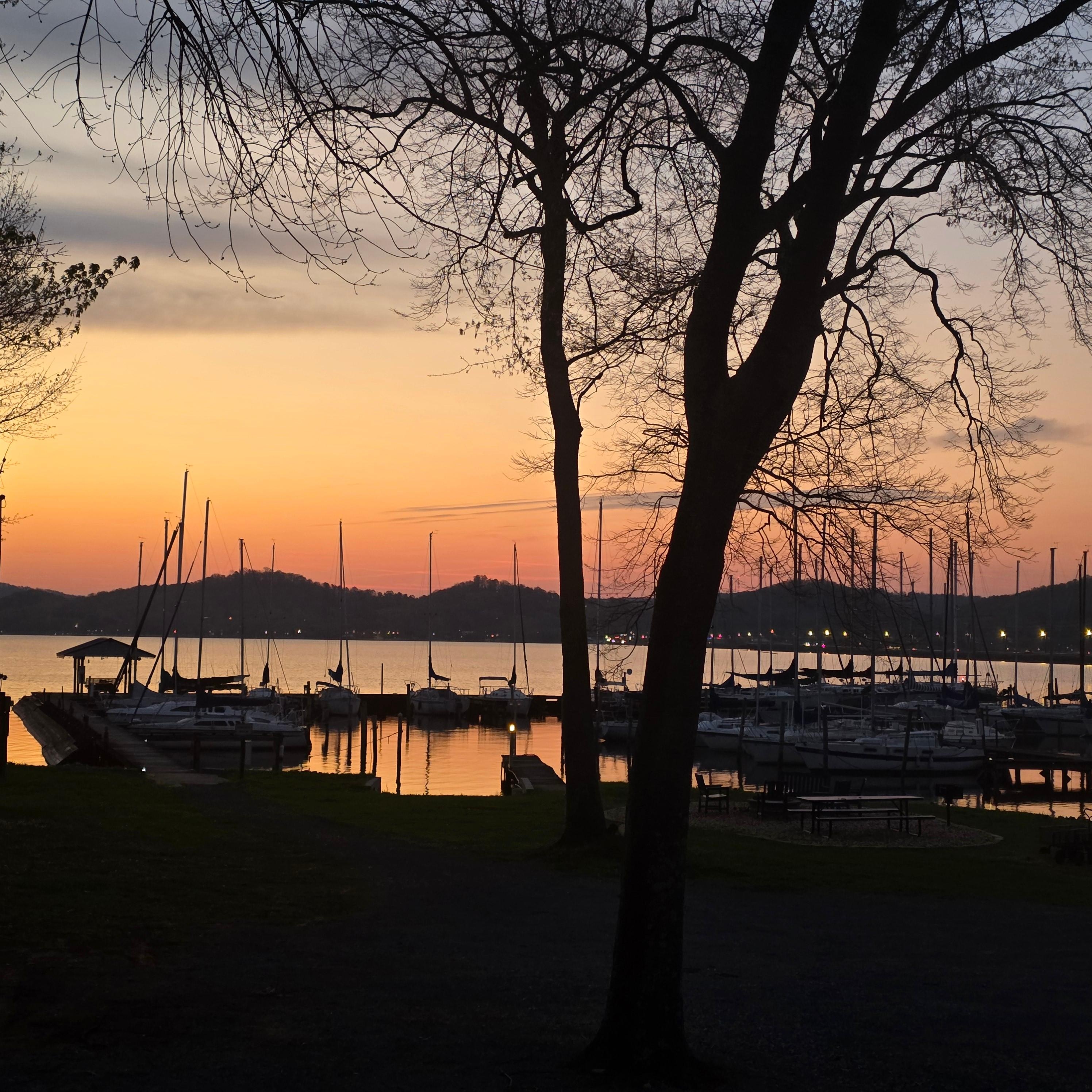 Beginning of Sun rise as we sip coffee on the back porch.