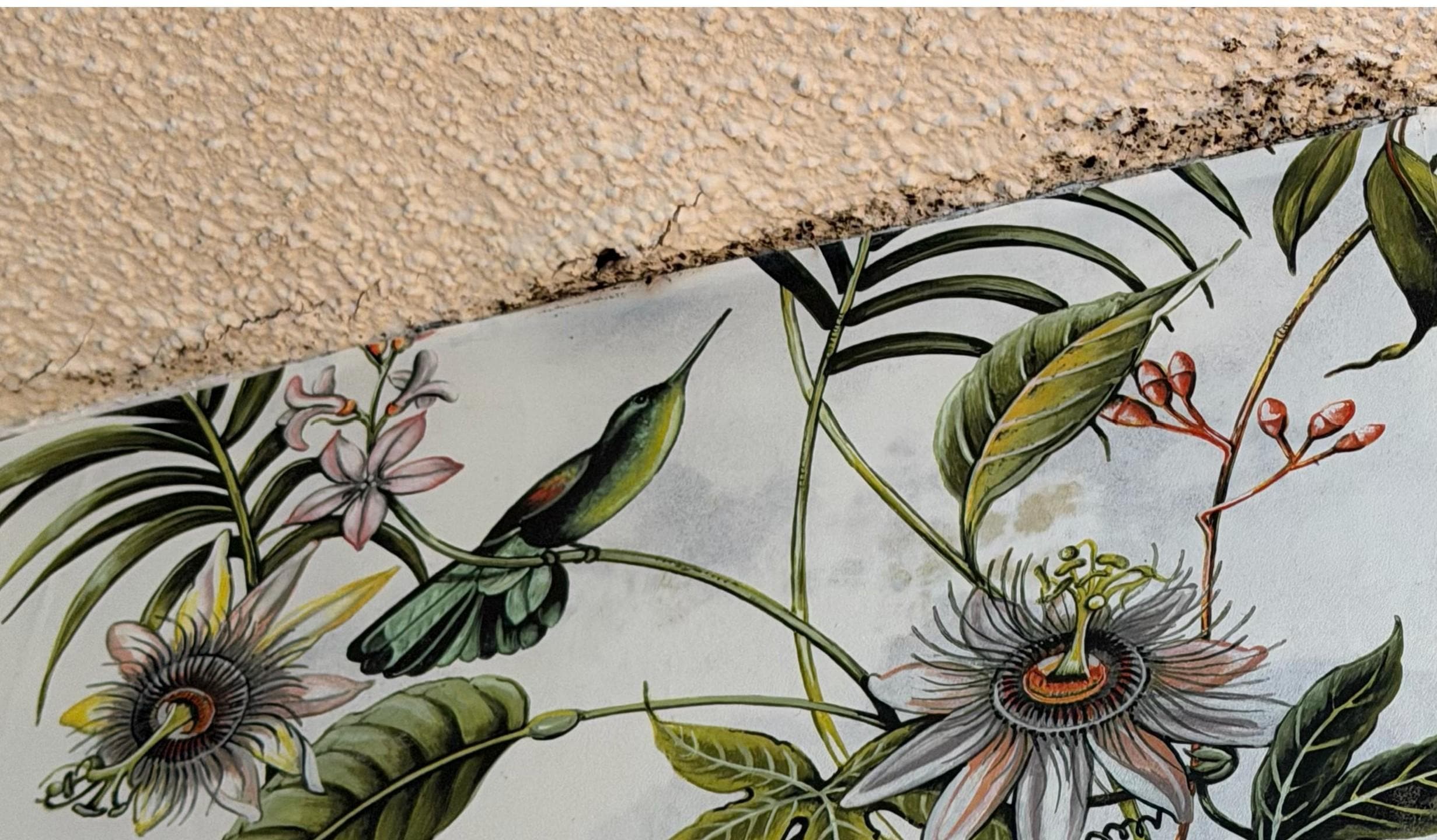 BLACK MOLD ABOVE BED