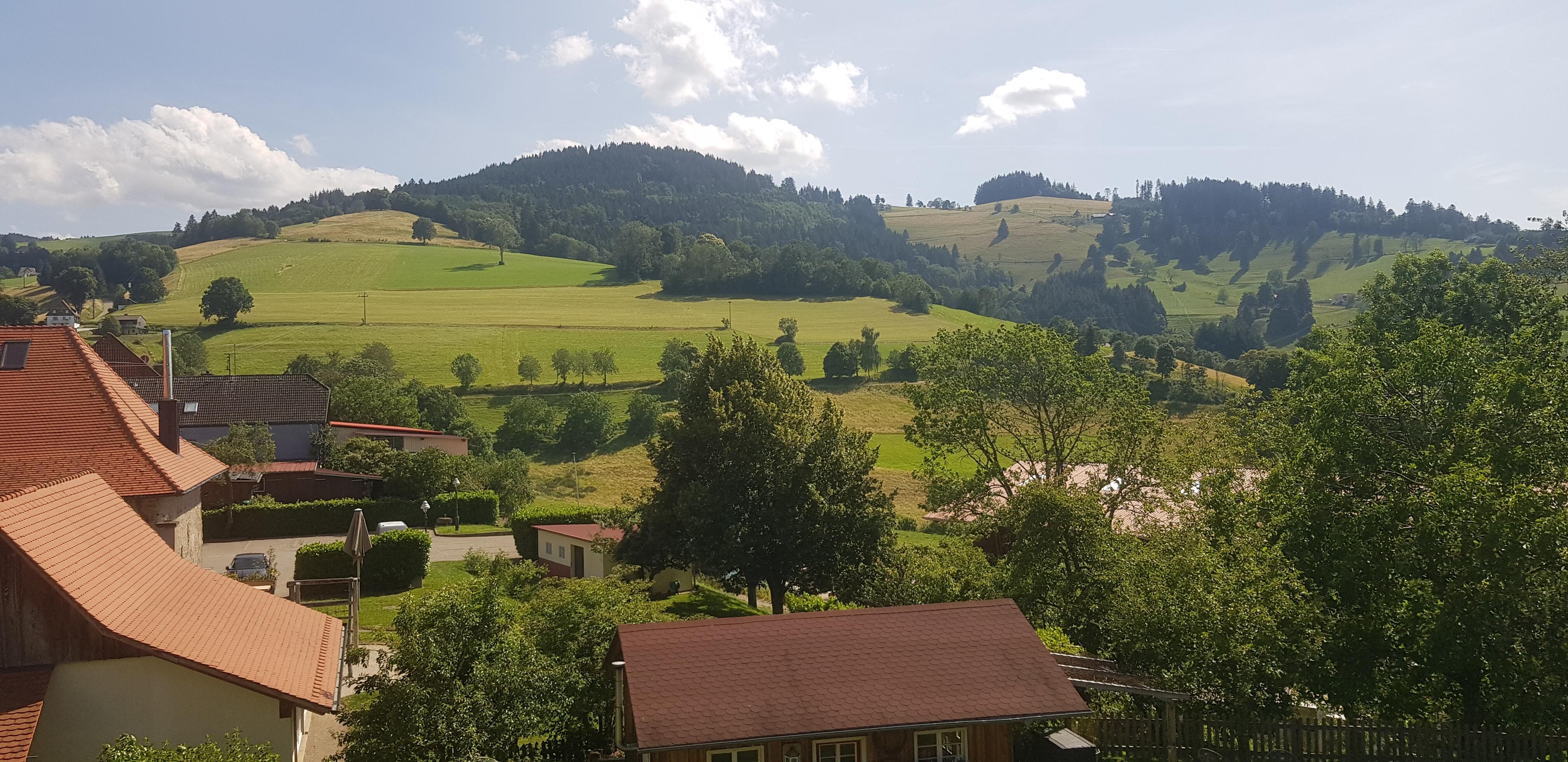 Blick vom Balkon 