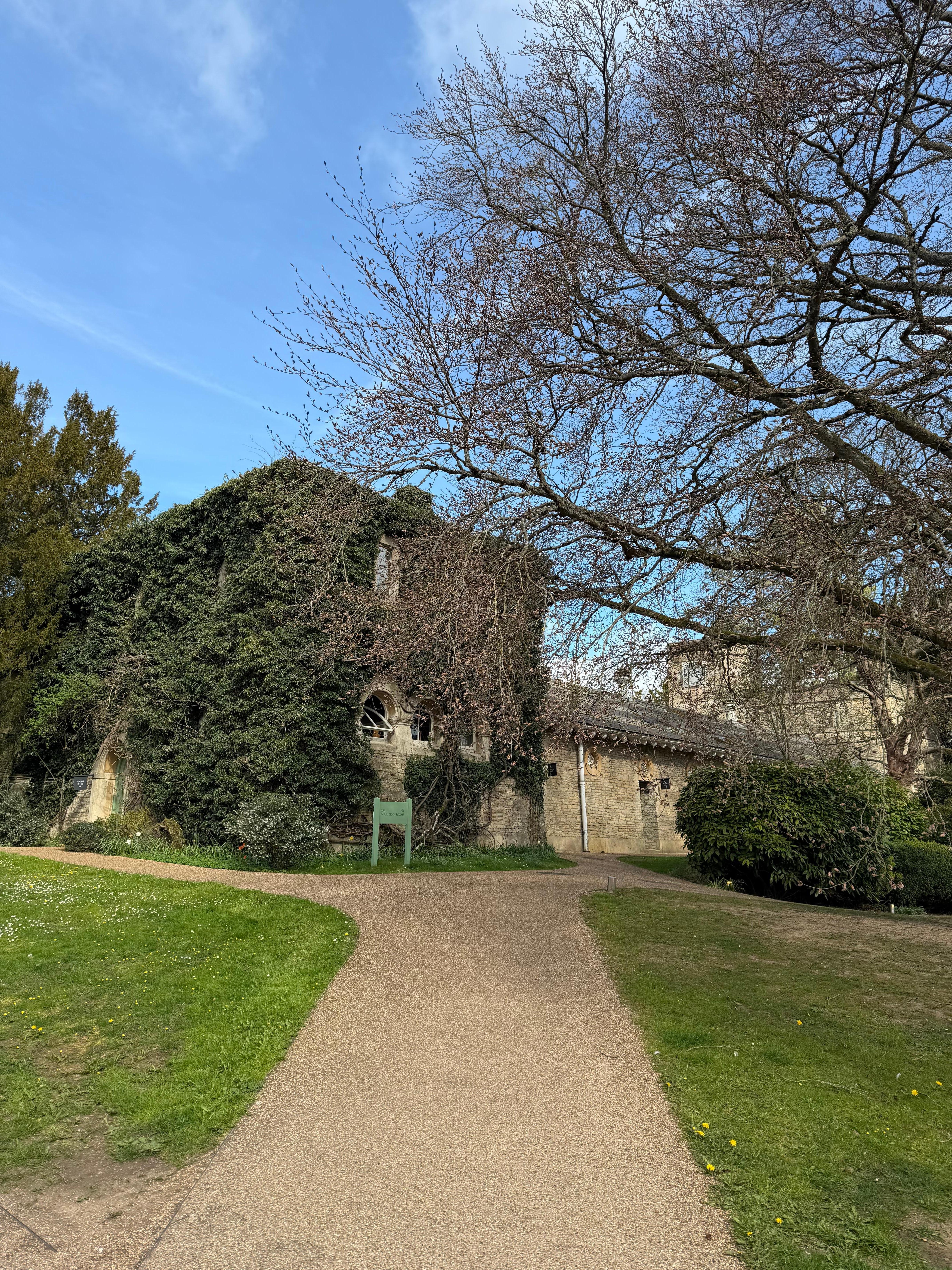 Way to Treehouse rooms