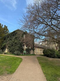 Way to Treehouse rooms