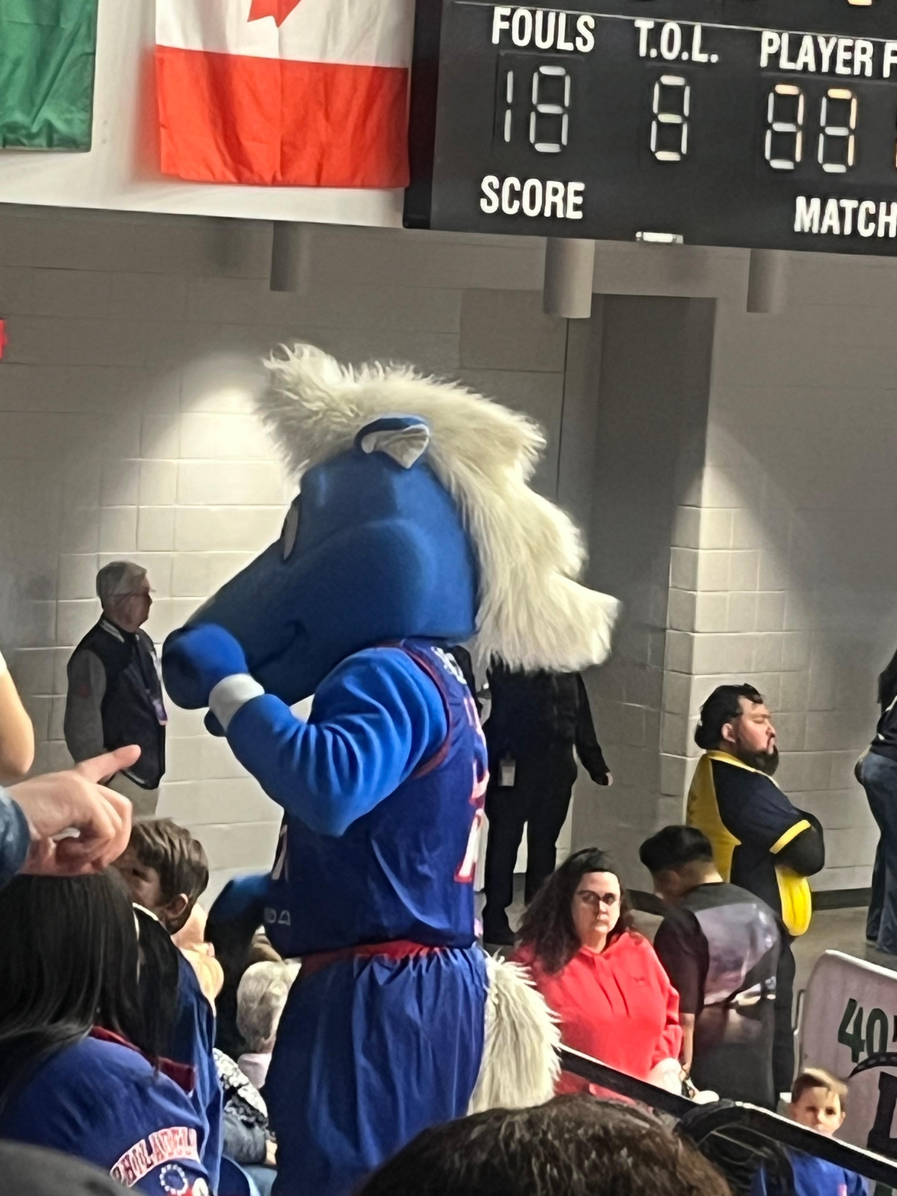 Went to Delaware Bluecoats game! City the Mascot was great!