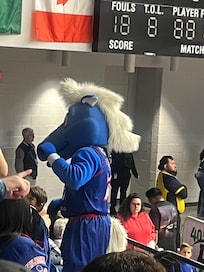Went to Delaware Bluecoats game! City the Mascot was great!