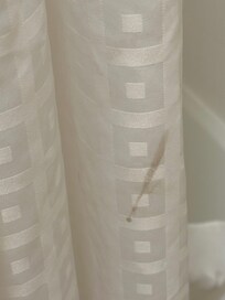 Shower curtain