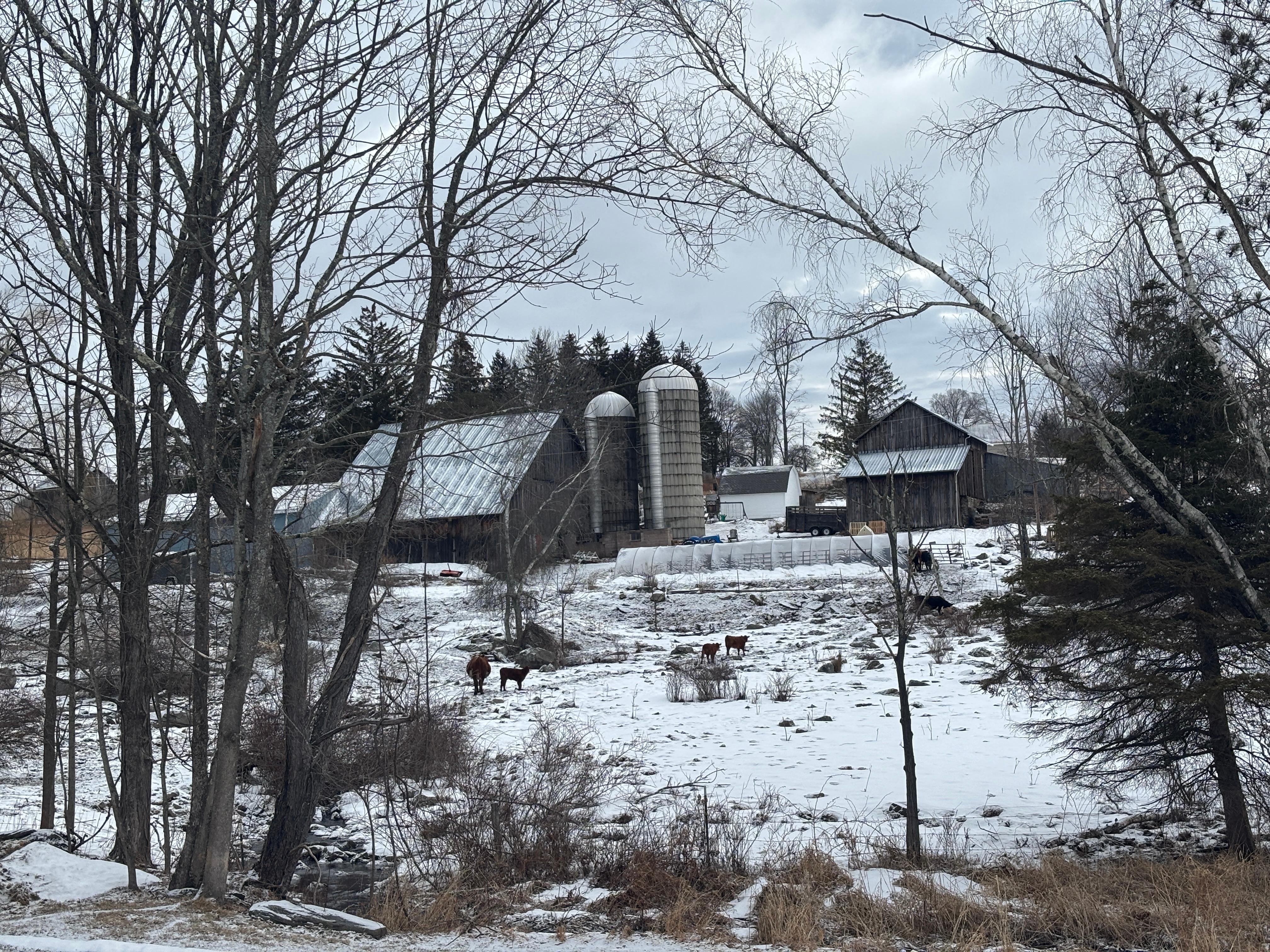 View from the side porch