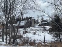 View from the side porch