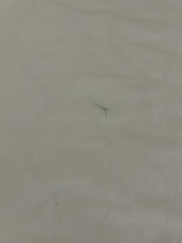 Hairs!!! On the bed! Yukkkk