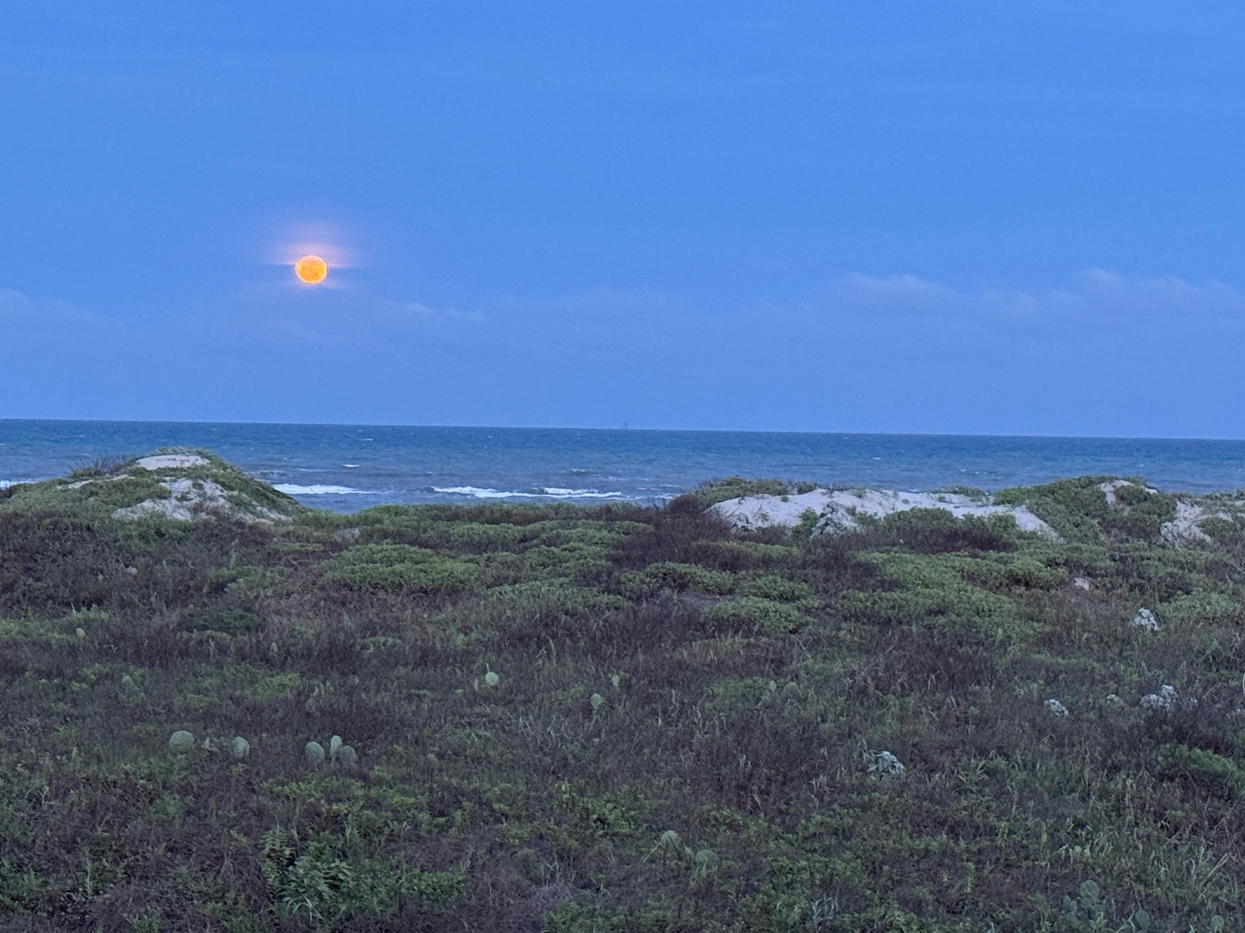 Strawberry Moon over the Gulf.