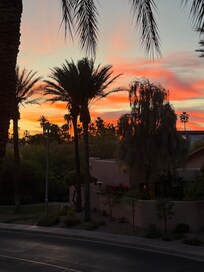 Beautiful sunset