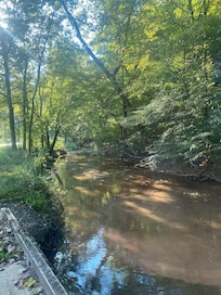 Creek with a Heron